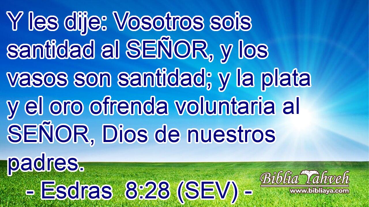 Y les dije: Vosotros sois santidad al SEÑOR, y los vasos son santidad; y la plata y el oro ofrenda voluntaria al SEÑOR, Dios de nuestros padres.