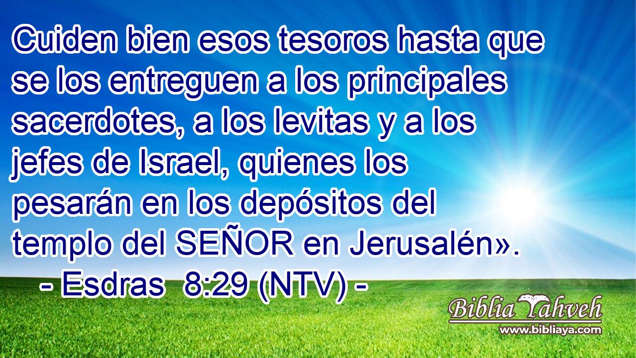 Cuiden bien esos tesoros hasta que se los entreguen a los principales sacerdotes, a los levitas y a los jefes de Israel, quienes los pesarán en los depósitos del templo del SEÑOR en Jerusalén».