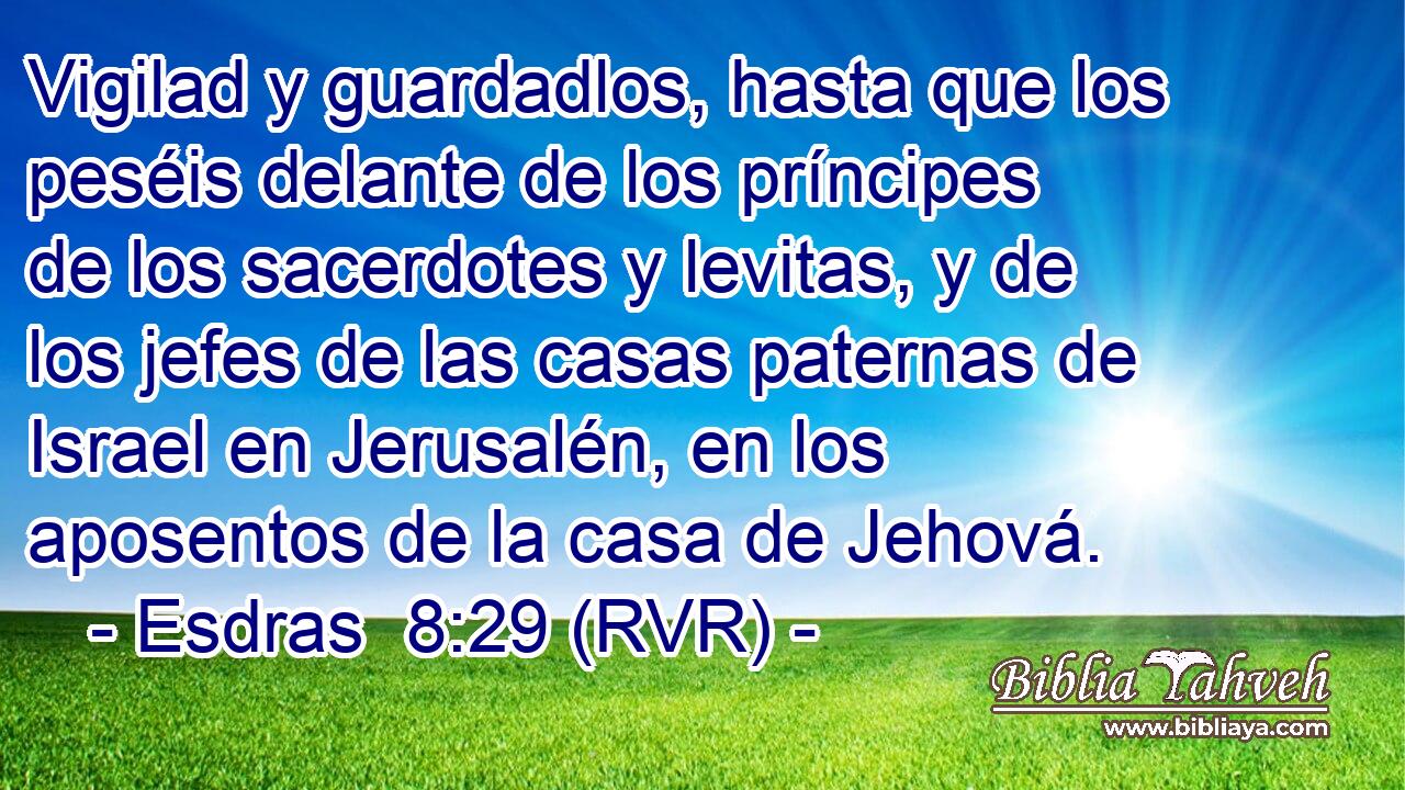 Vigilad y guardadlos, hasta que los peséis delante de los príncipes de los sacerdotes y levitas, y de los jefes de las casas paternas de Israel en Jerusalén, en los aposentos de la casa de Jehová.