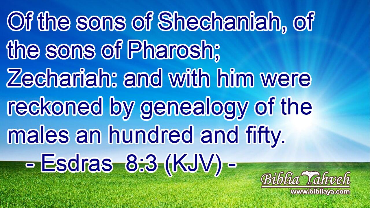 Of the sons of Shechaniah, of the sons of Pharosh; Zechariah: and with him were reckoned by genealogy of the males an hundred and fifty.