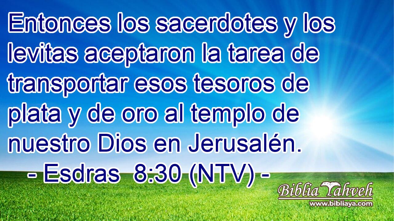 Entonces los sacerdotes y los levitas aceptaron la tarea de transportar esos tesoros de plata y de oro al templo de nuestro Dios en Jerusalén.