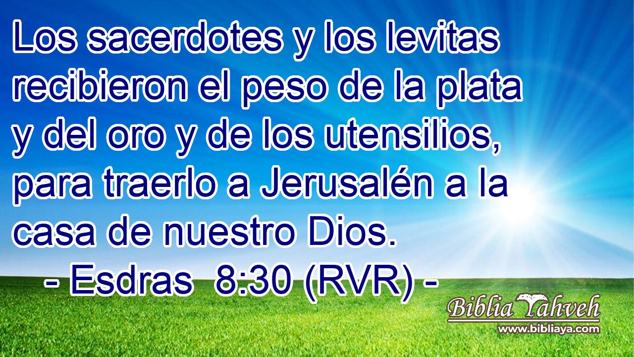 Los sacerdotes y los levitas recibieron el peso de la plata y del oro y de los utensilios, para traerlo a Jerusalén a la casa de nuestro Dios.