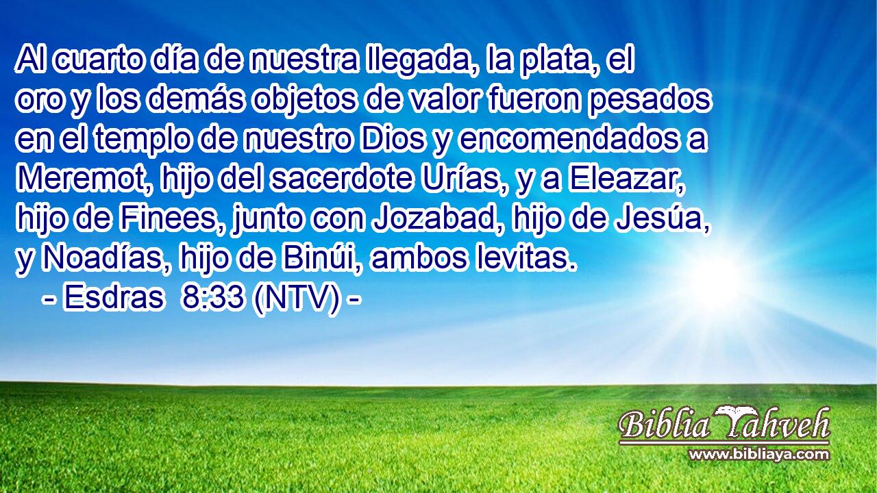Al cuarto día de nuestra llegada, la plata, el oro y los demás objetos de valor fueron pesados en el templo de nuestro Dios y encomendados a Meremot, hijo del sacerdote Urías, y a Eleazar, hijo de Finees, junto con Jozabad, hijo de Jesúa, y Noadías, hijo de Binúi, ambos levitas.