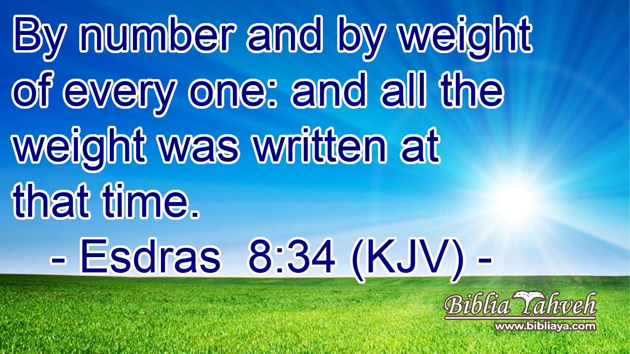 By number and by weight of every one: and all the weight was written at that time.
