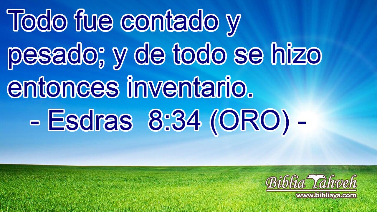  Todo fue contado y pesado; y de todo se hizo entonces inventario. 