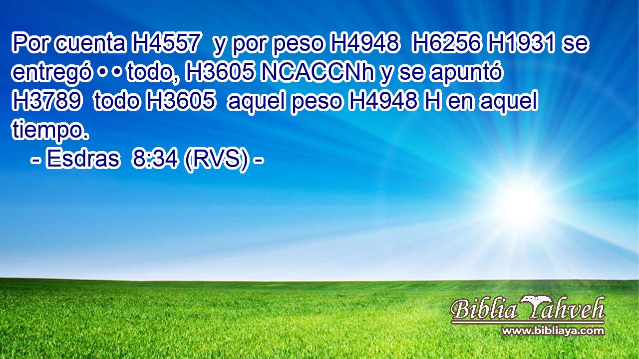 Por cuenta H4557  y por peso H4948  H6256 H1931 se entregó • • todo, H3605 NCACCNh y se apuntó H3789  todo H3605  aquel peso H4948 H en aquel tiempo. 