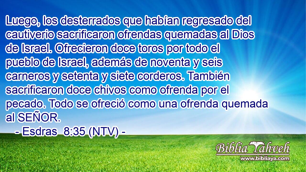Luego, los desterrados que habían regresado del cautiverio sacrificaron ofrendas quemadas al Dios de Israel. Ofrecieron doce toros por todo el pueblo de Israel, además de noventa y seis carneros y setenta y siete corderos. También sacrificaron doce chivos como ofrenda por el pecado. Todo se ofreció como una ofrenda quemada al SEÑOR.