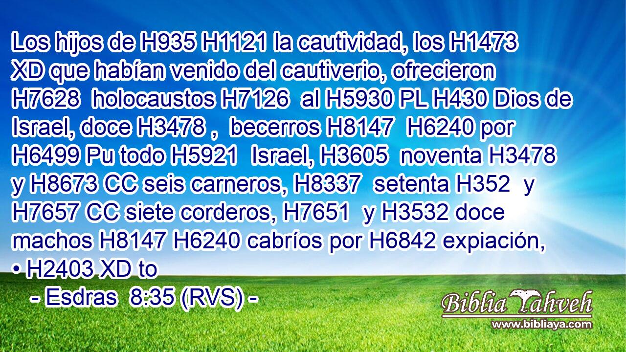 Los hijos de H935 H1121 la cautividad, los H1473 XD que habían venido del cautiverio, ofrecieron H7628  holocaustos H7126  al H5930 PL H430 Dios de Israel, doce H3478 ,  becerros H8147  H6240 por H6499 Pu todo H5921  Israel, H3605  noventa H3478  y H8673 CC seis carneros, H8337  setenta H352  y H7657 CC siete corderos, H7651  y H3532 doce machos H8147 H6240 cabríos por H6842 expiación, • H2403 XD to