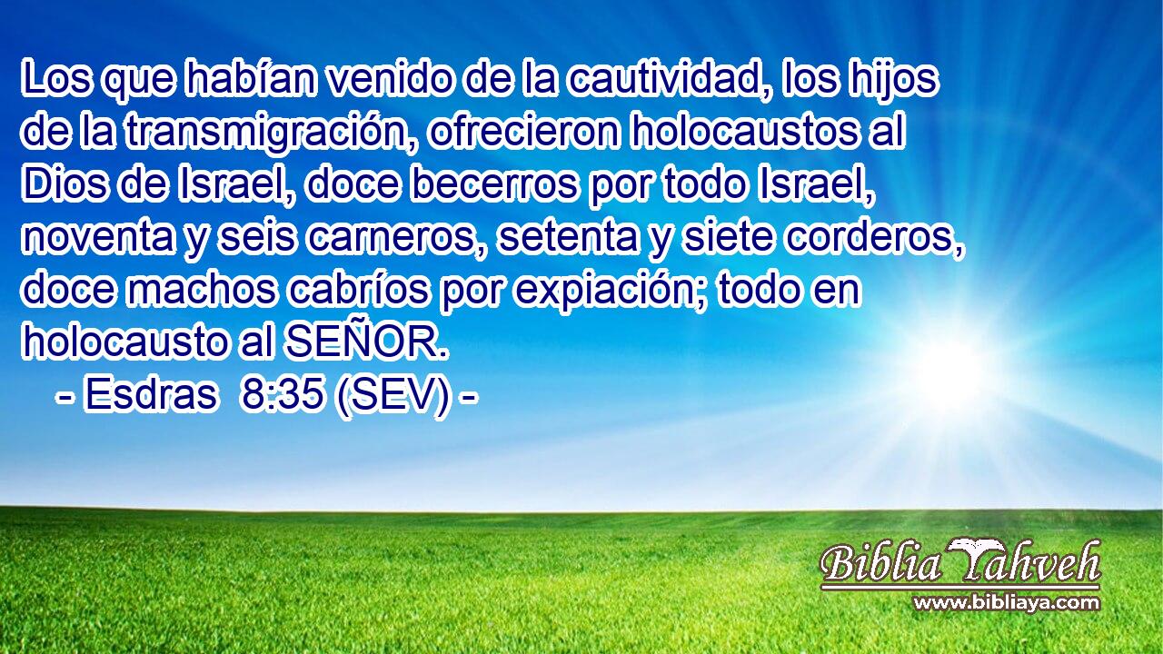 Los que habían venido de la cautividad, los hijos de la transmigración, ofrecieron holocaustos al Dios de Israel, doce becerros por todo Israel, noventa y seis carneros, setenta y siete corderos, doce machos cabríos por expiación; todo en holocausto al SEÑOR.