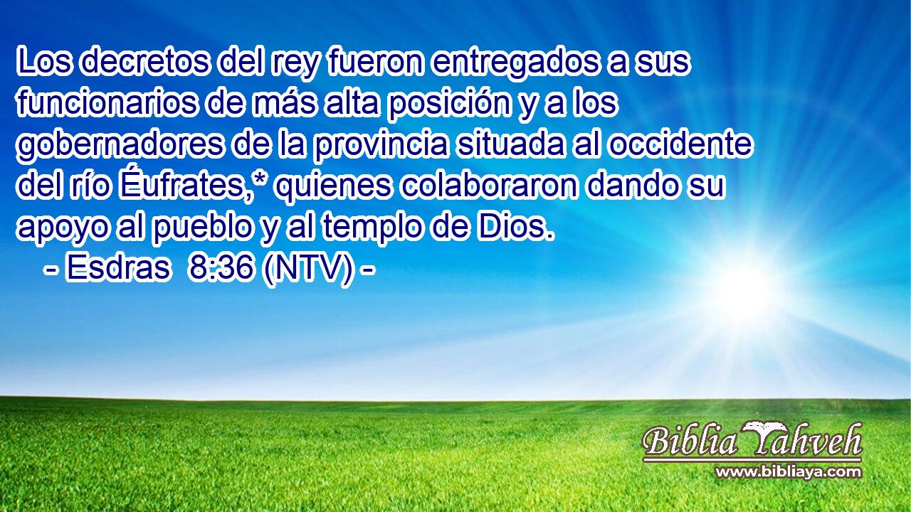 Los decretos del rey fueron entregados a sus funcionarios de más alta posición y a los gobernadores de la provincia situada al occidente del río Éufrates,* quienes colaboraron dando su apoyo al pueblo y al templo de Dios.