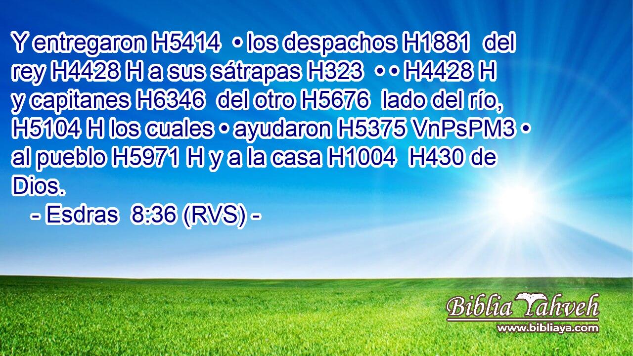 Y entregaron H5414  • los despachos H1881  del rey H4428 H a sus sátrapas H323  • • H4428 H y capitanes H6346  del otro H5676  lado del río, H5104 H los cuales • ayudaron H5375 VnPsPM3 • al pueblo H5971 H y a la casa H1004  H430 de Dios. 