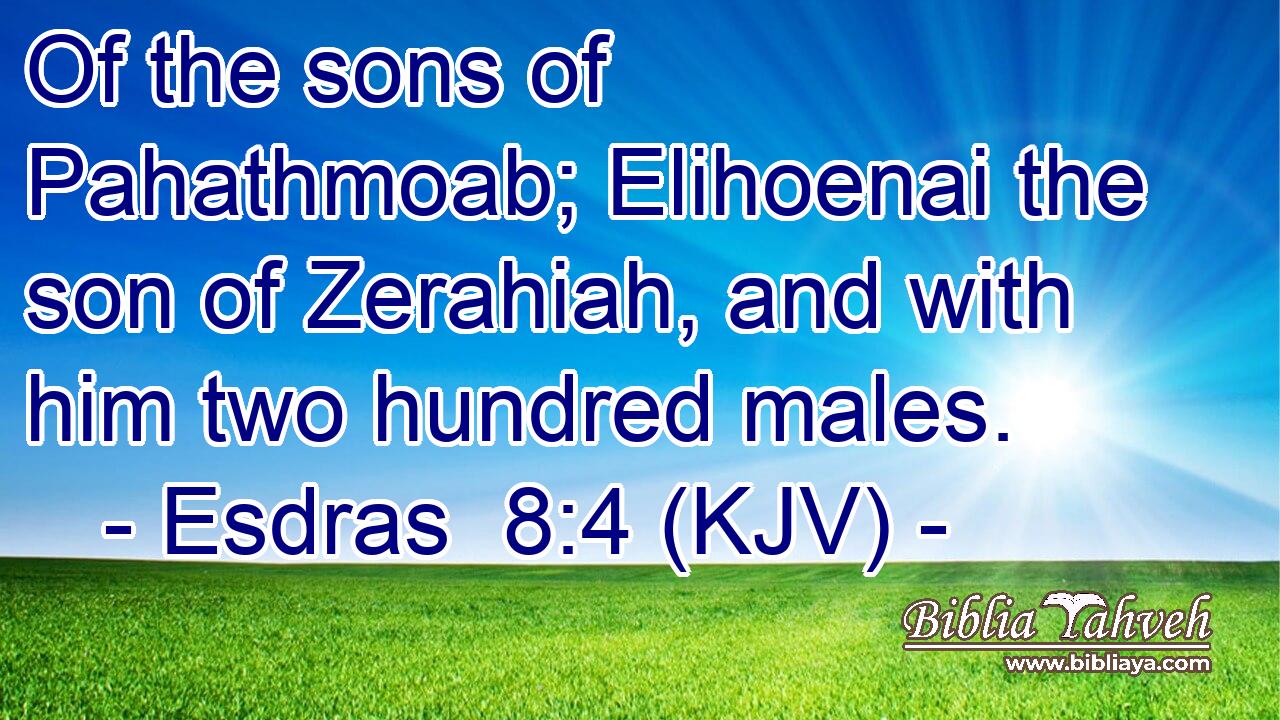 Of the sons of Pahathmoab; Elihoenai the son of Zerahiah, and with him two hundred males.