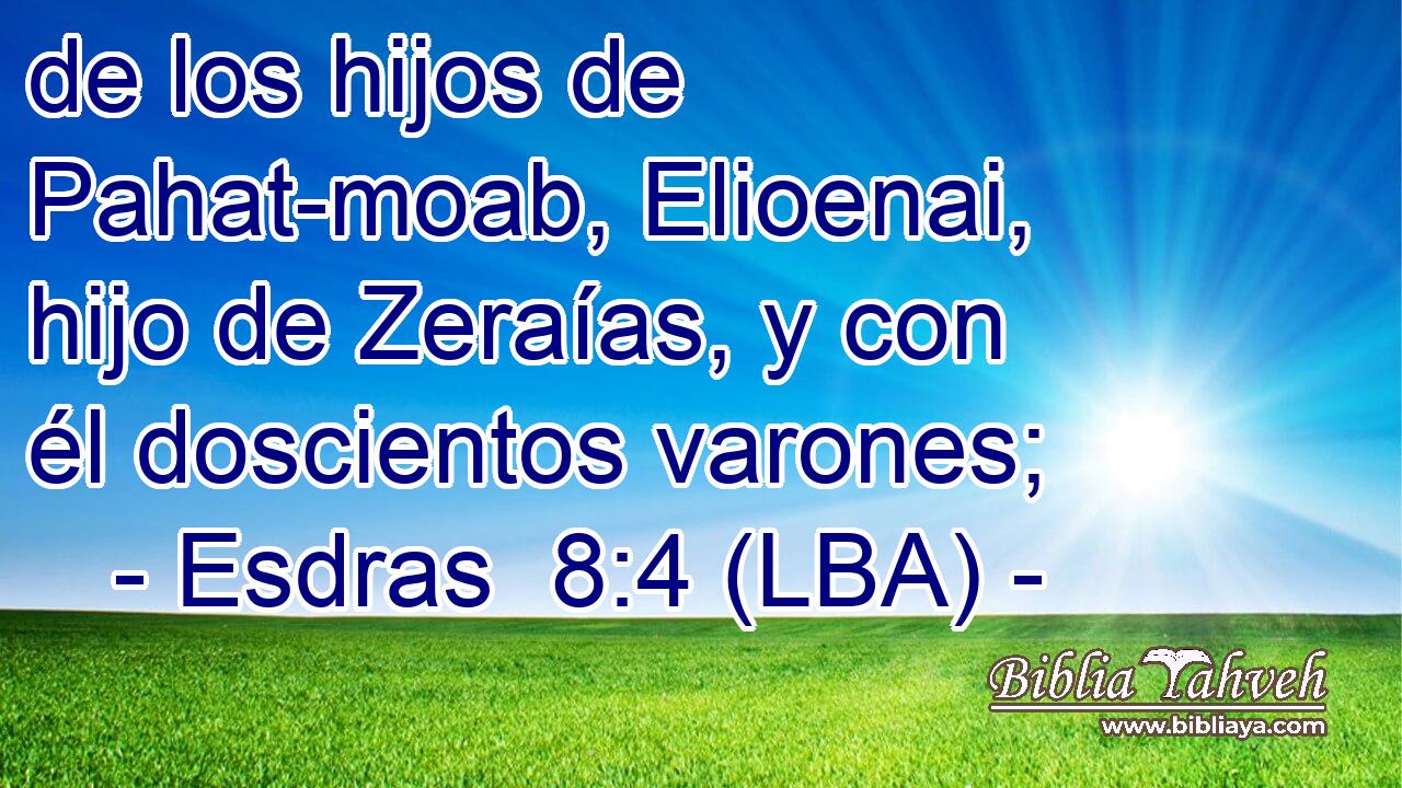 de los hijos de Pahat-moab, Elioenai, hijo de Zeraías, y con él doscientos varones;