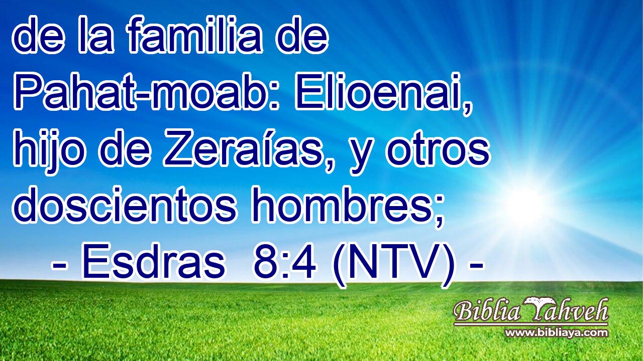 de la familia de Pahat-moab: Elioenai, hijo de Zeraías, y otros doscientos hombres;