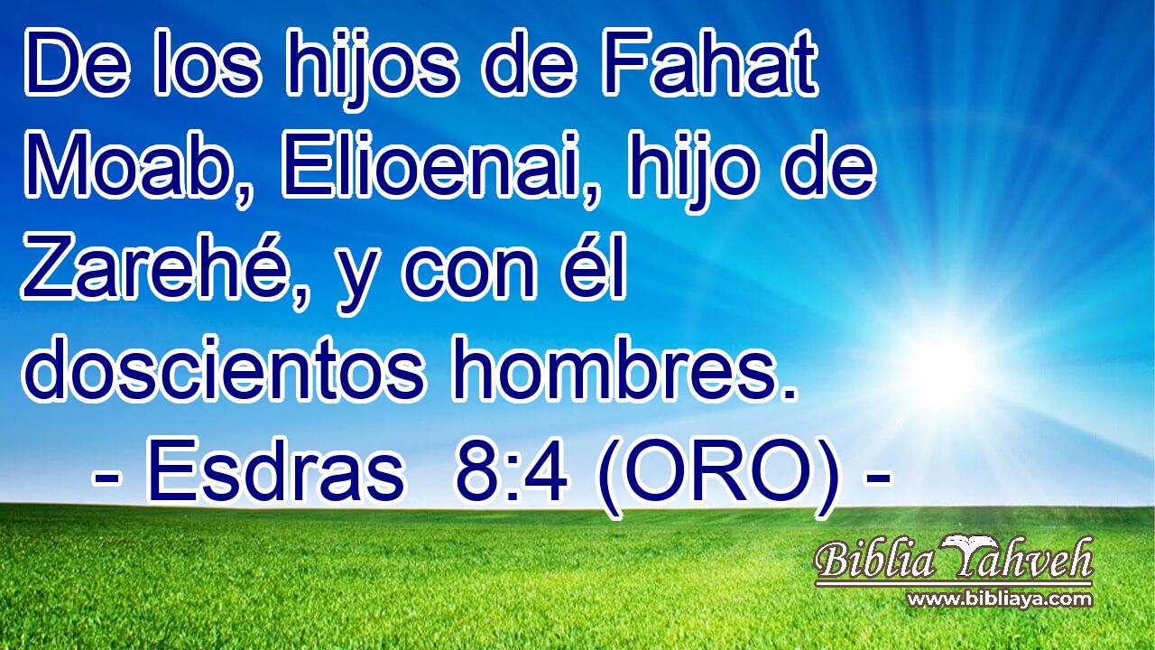  De los hijos de Fahat Moab, Elioenai, hijo de Zarehé, y con él doscientos hombres. 