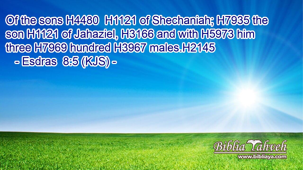 Of the sons H4480  H1121 of Shechaniah; H7935 the son H1121 of Jahaziel, H3166 and with H5973 him three H7969 hundred H3967 males.H2145