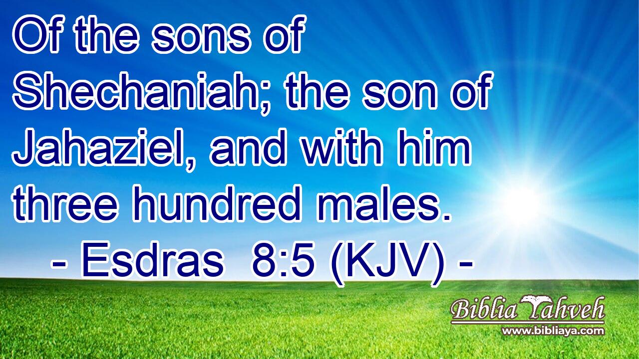 Of the sons of Shechaniah; the son of Jahaziel, and with him three hundred males.