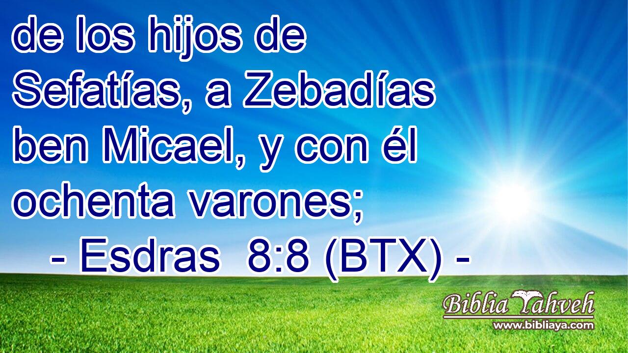 de los hijos de Sefatías, a Zebadías ben Micael, y con él ochenta varones;