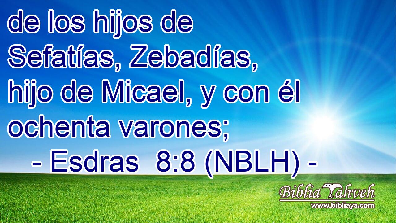  de los hijos de Sefatías, Zebadías, hijo de Micael, y con él ochenta varones; 