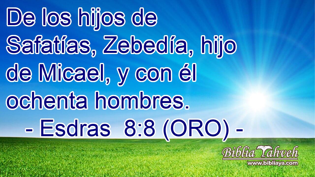  De los hijos de Safatías, Zebedía, hijo de Micael, y con él ochenta hombres. 