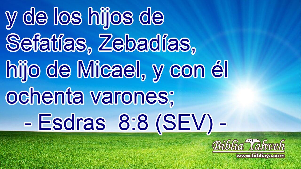 y de los hijos de Sefatías, Zebadías, hijo de Micael, y con él ochenta varones;