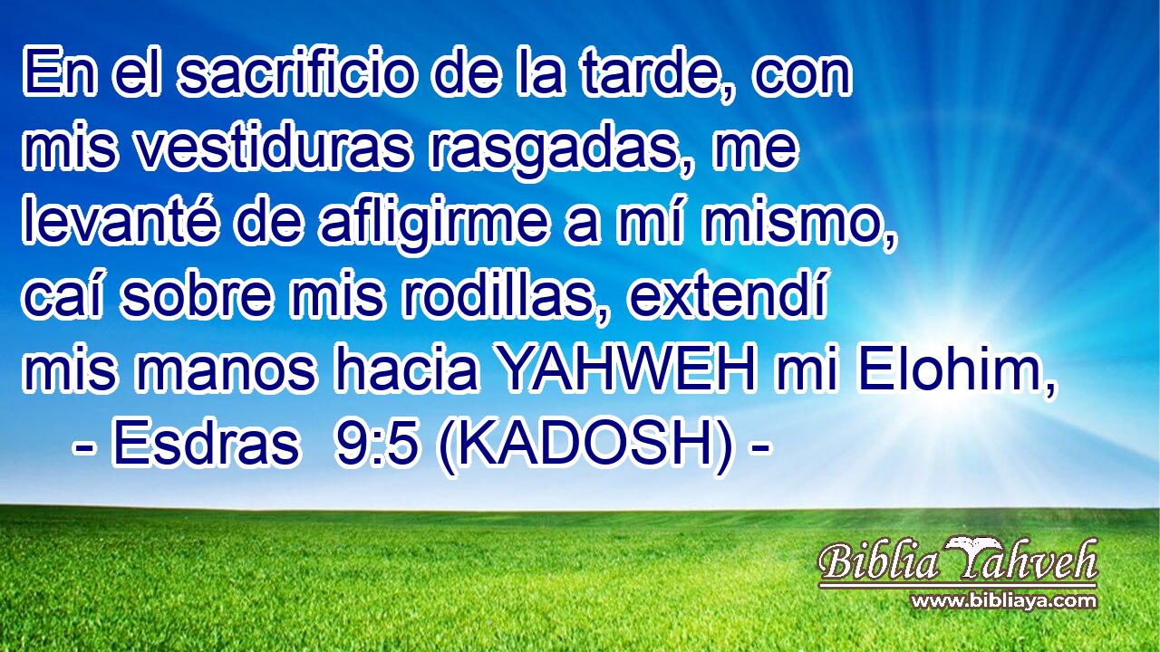  En el sacrificio de la tarde, con mis vestiduras rasgadas, me levanté de afligirme a mí mismo, caí sobre mis rodillas, extendí mis manos hacia YAHWEH mi Elohim, 