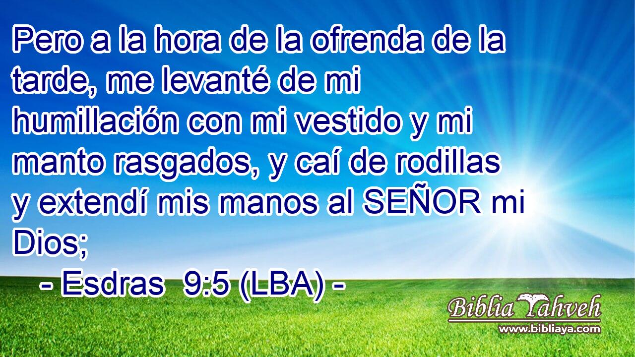 Pero a la hora de la ofrenda de la tarde, me levanté de mi humillación con mi vestido y mi manto rasgados, y caí de rodillas y extendí mis manos al SEÑOR mi Dios;