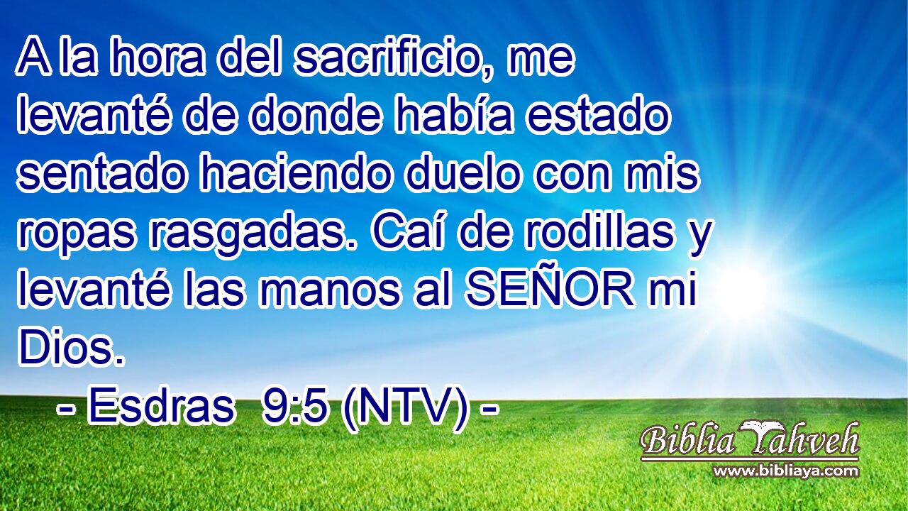 A la hora del sacrificio, me levanté de donde había estado sentado haciendo duelo con mis ropas rasgadas. Caí de rodillas y levanté las manos al SEÑOR mi Dios.