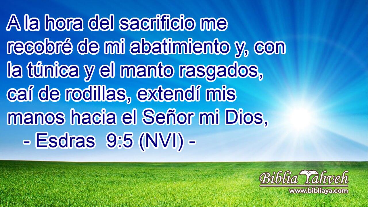  A la hora del sacrificio me recobré de mi abatimiento y, con la túnica y el manto rasgados, caí de rodillas, extendí mis manos hacia el Señor mi Dios, 