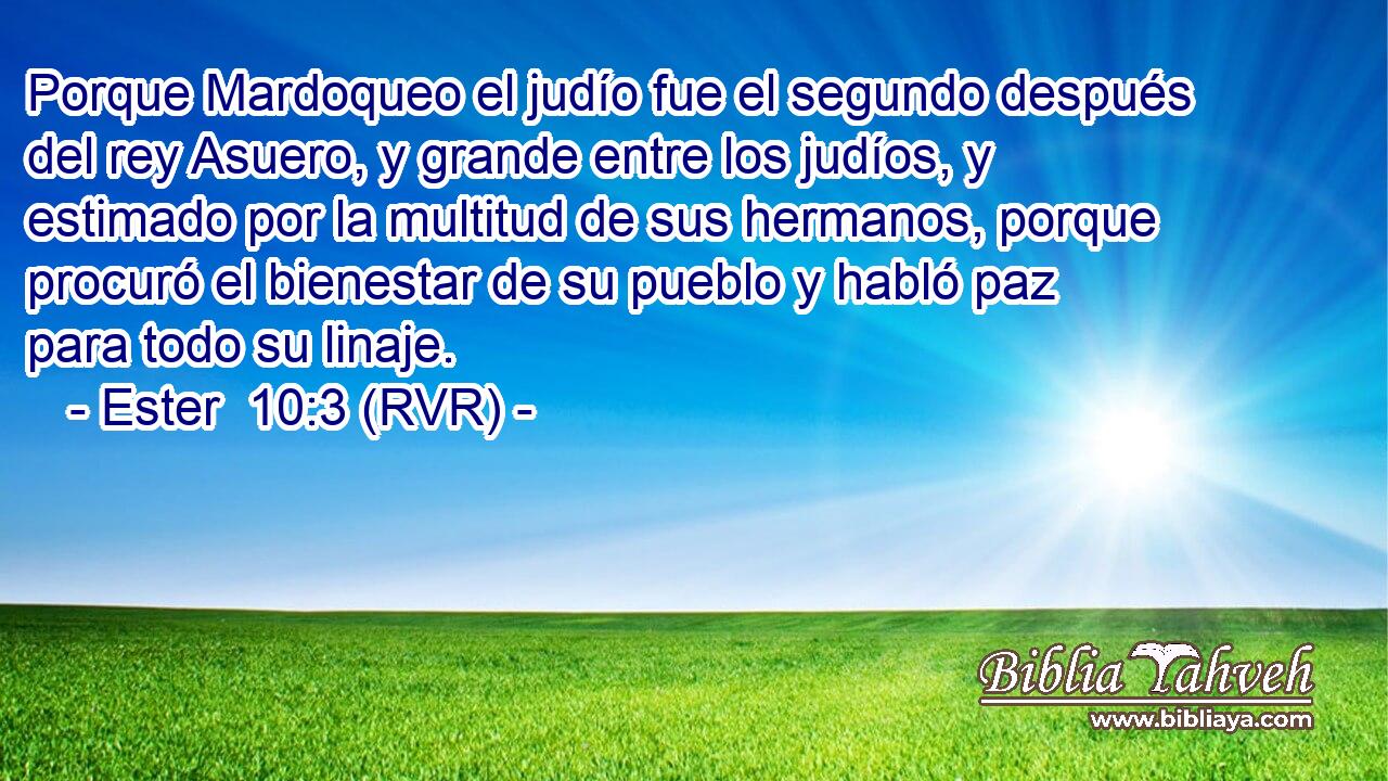 Porque Mardoqueo el judío fue el segundo después del rey Asuero, y grande entre los judíos, y estimado por la multitud de sus hermanos, porque procuró el bienestar de su pueblo y habló paz para todo su linaje.