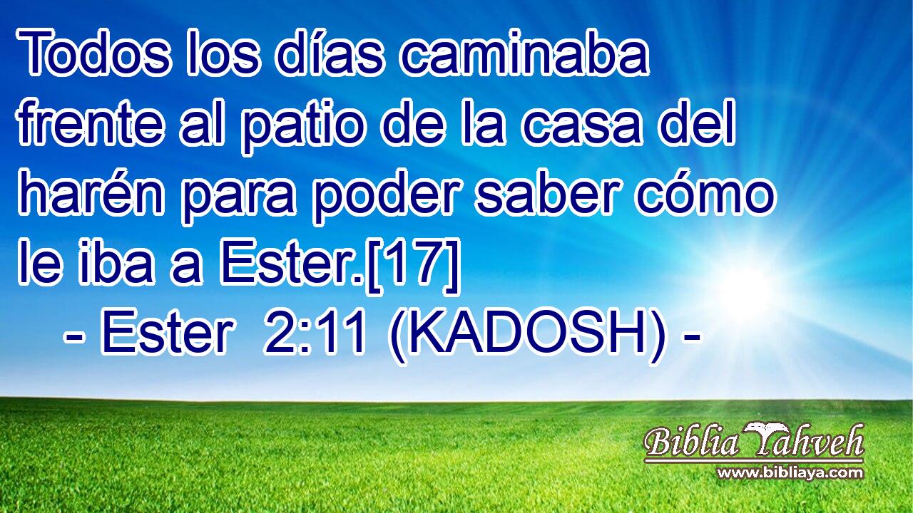  Todos los días caminaba frente al patio de la casa del harén para poder saber cómo le iba a Ester.[17] 
