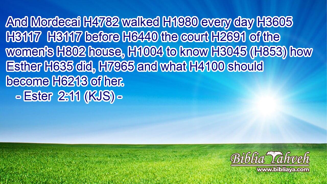 And Mordecai H4782 walked H1980 every day H3605  H3117  H3117 before H6440 the court H2691 of the women's H802 house, H1004 to know H3045 (H853) how Esther H635 did, H7965 and what H4100 should become H6213 of her.