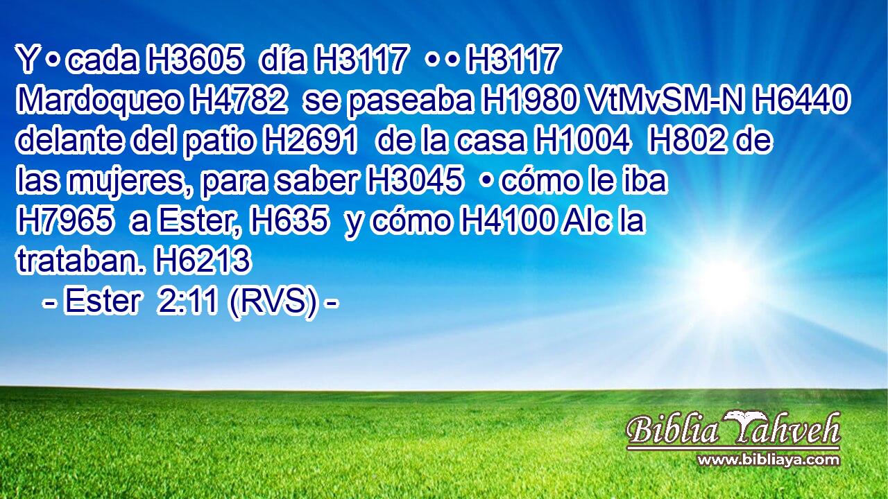 Y • cada H3605  día H3117  • • H3117  Mardoqueo H4782  se paseaba H1980 VtMvSM-N H6440 delante del patio H2691  de la casa H1004  H802 de las mujeres, para saber H3045  • cómo le iba H7965  a Ester, H635  y cómo H4100 AIc la trataban. H6213  
