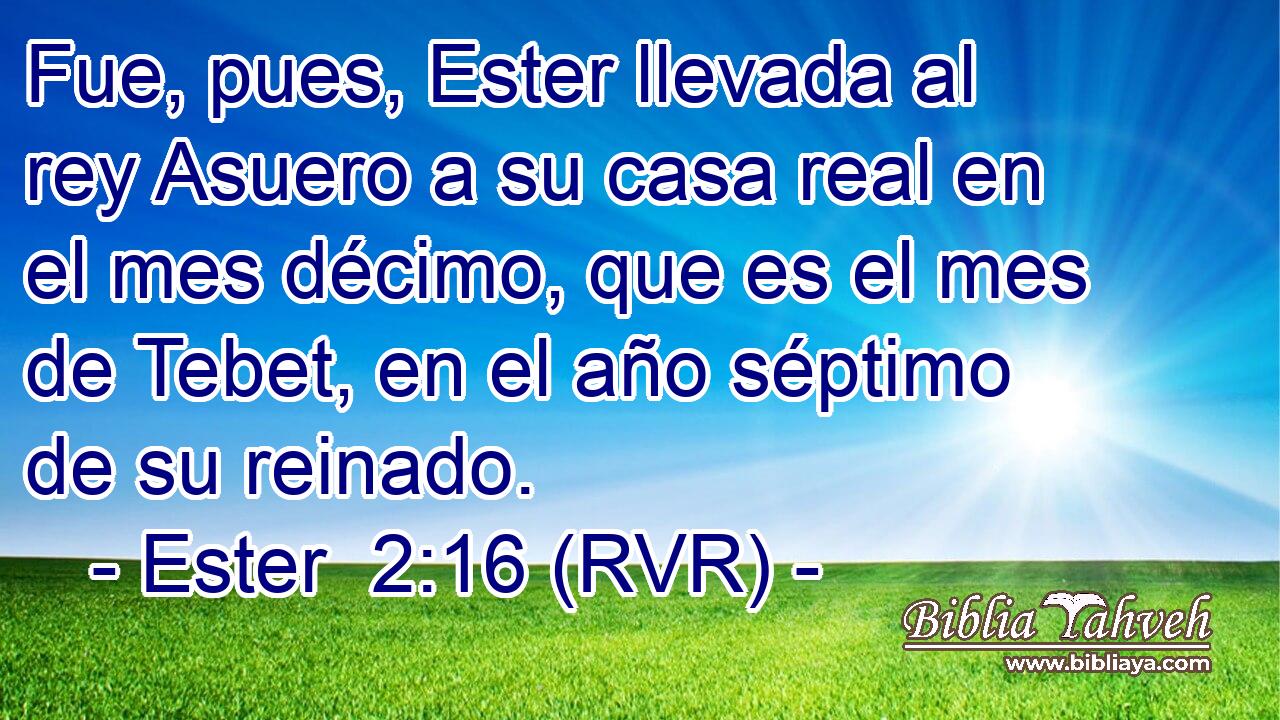 Fue, pues, Ester llevada al rey Asuero a su casa real en el mes décimo, que es el mes de Tebet, en el año séptimo de su reinado.