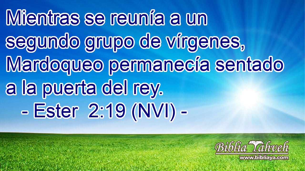  Mientras se reunía a un segundo grupo de vírgenes, Mardoqueo permanecía sentado a la puerta del rey. 