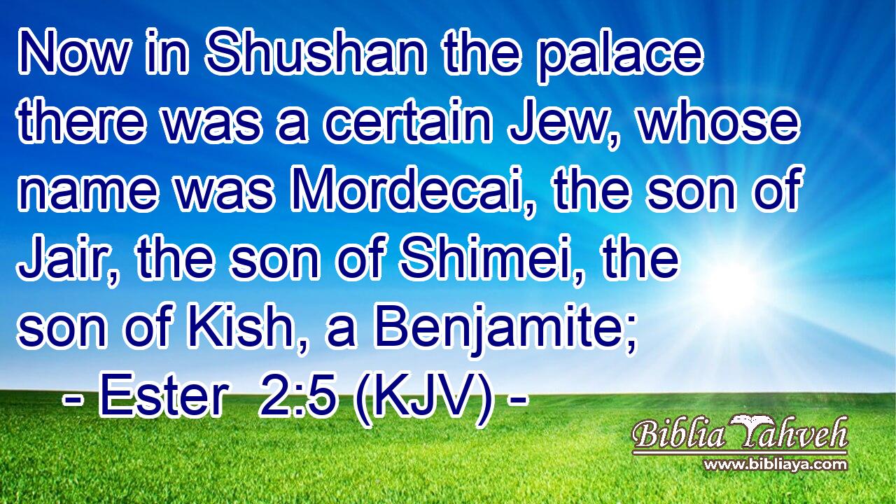 Now in Shushan the palace there was a certain Jew, whose name was Mordecai, the son of Jair, the son of Shimei, the son of Kish, a Benjamite;