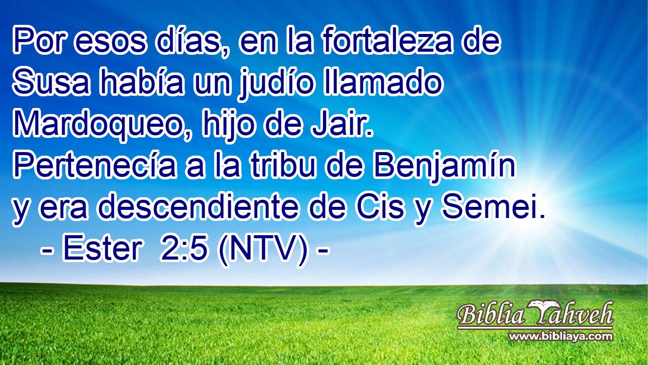 Por esos días, en la fortaleza de Susa había un judío llamado Mardoqueo, hijo de Jair. Pertenecía a la tribu de Benjamín y era descendiente de Cis y Semei.