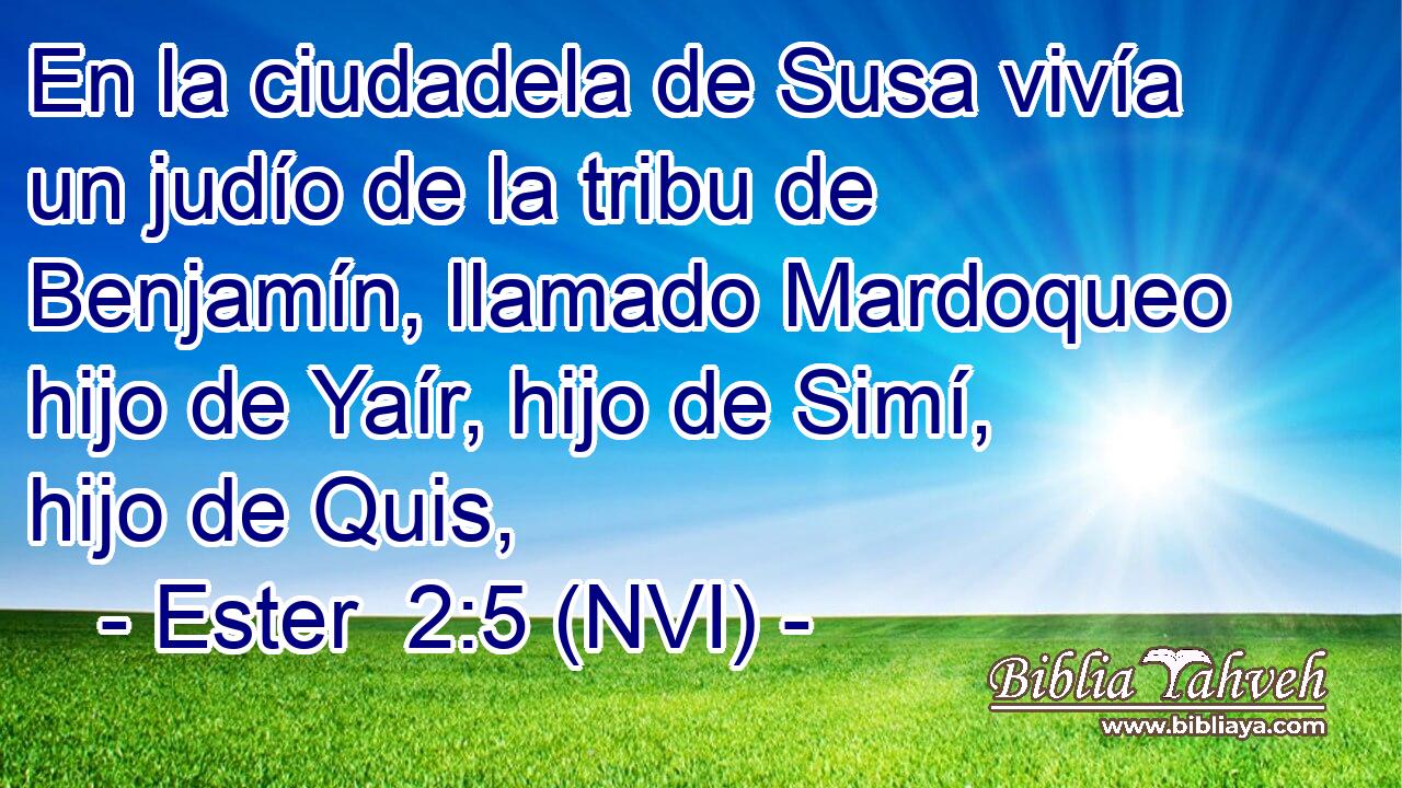  En la ciudadela de Susa vivía un judío de la tribu de Benjamín, llamado Mardoqueo hijo de Yaír, hijo de Simí, hijo de Quis, 