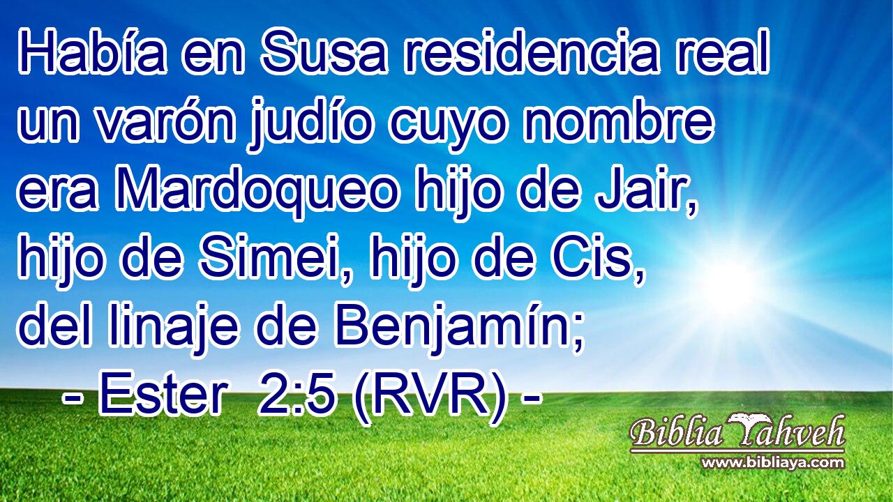 Había en Susa residencia real un varón judío cuyo nombre era Mardoqueo hijo de Jair, hijo de Simei, hijo de Cis, del linaje de Benjamín;