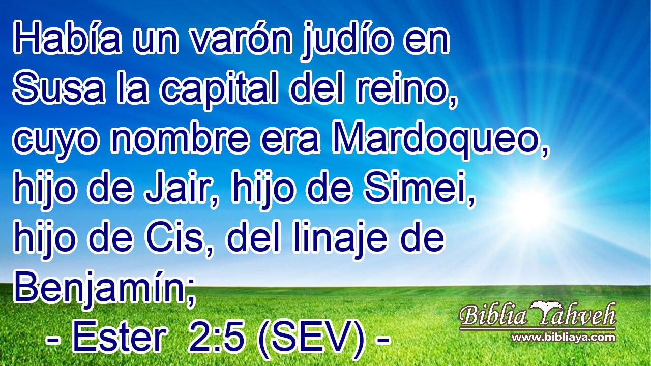 Había un varón judío en Susa la capital del reino, cuyo nombre era Mardoqueo, hijo de Jair, hijo de Simei, hijo de Cis, del linaje de Benjamín;