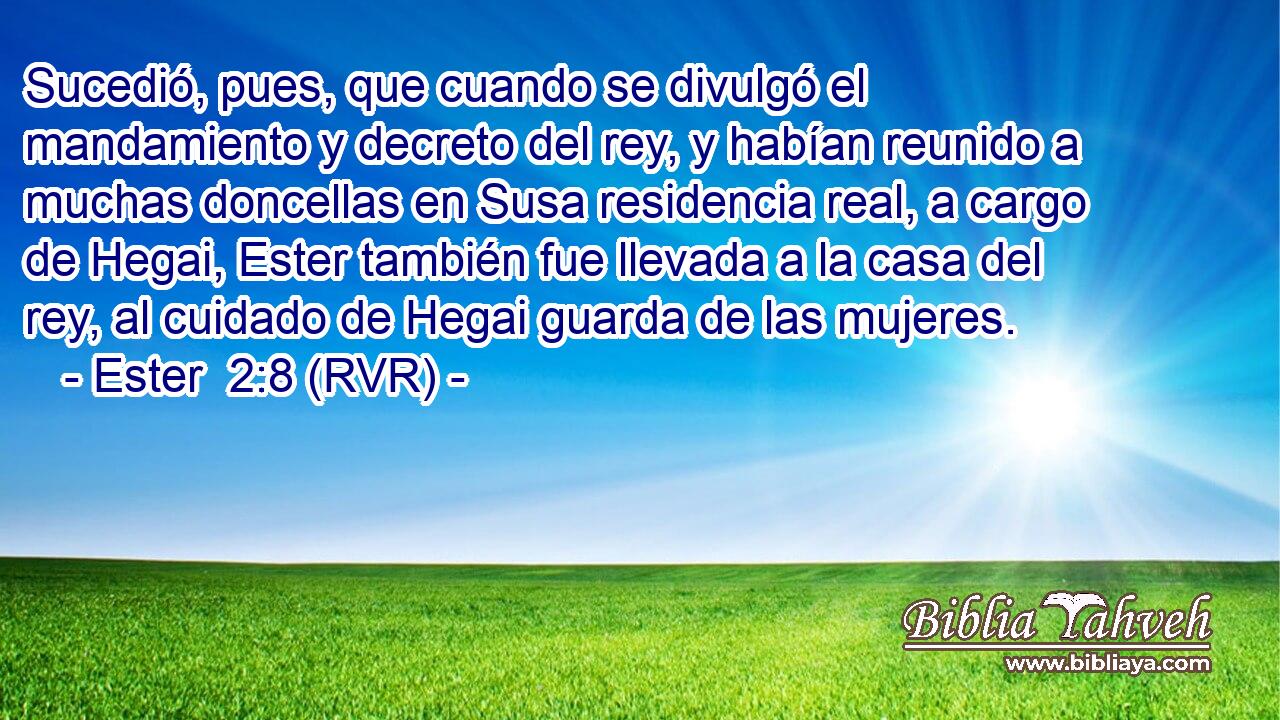 Sucedió, pues, que cuando se divulgó el mandamiento y decreto del rey, y habían reunido a muchas doncellas en Susa residencia real, a cargo de Hegai, Ester también fue llevada a la casa del rey, al cuidado de Hegai guarda de las mujeres.