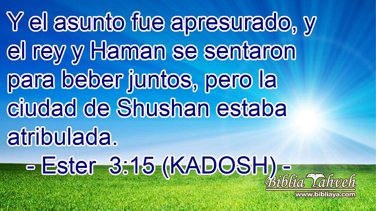  Y el asunto fue apresurado, y el rey y Haman se sentaron para beber juntos, pero la ciudad de Shushan estaba atribulada. 