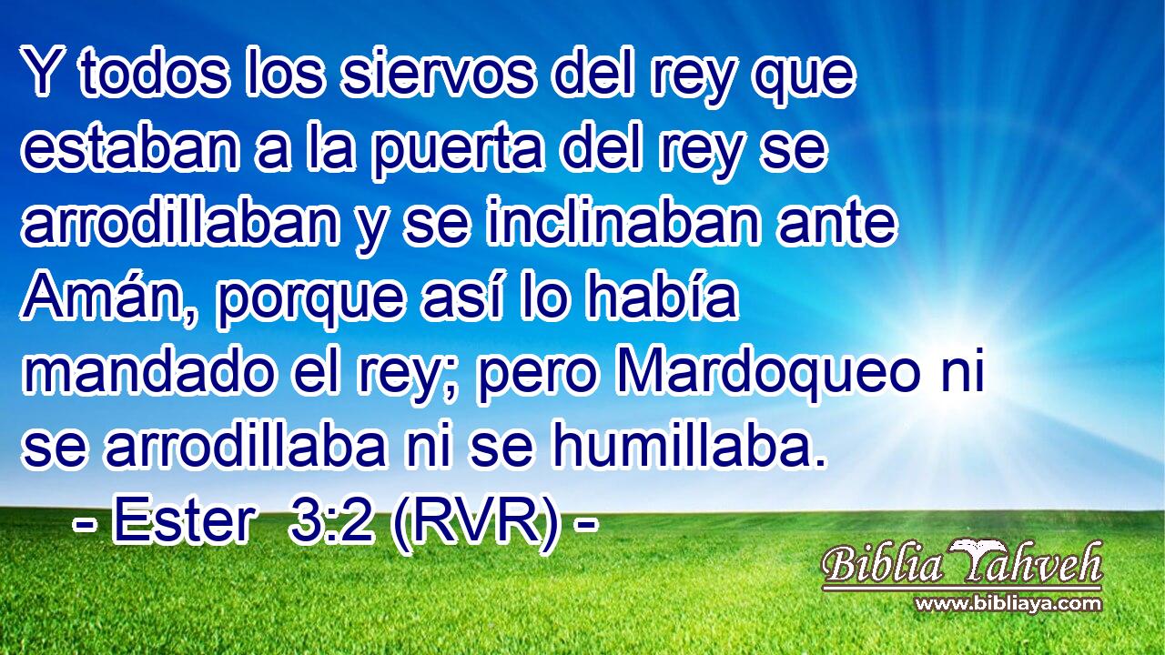 Y todos los siervos del rey que estaban a la puerta del rey se arrodillaban y se inclinaban ante Amán, porque así lo había mandado el rey; pero Mardoqueo ni se arrodillaba ni se humillaba.