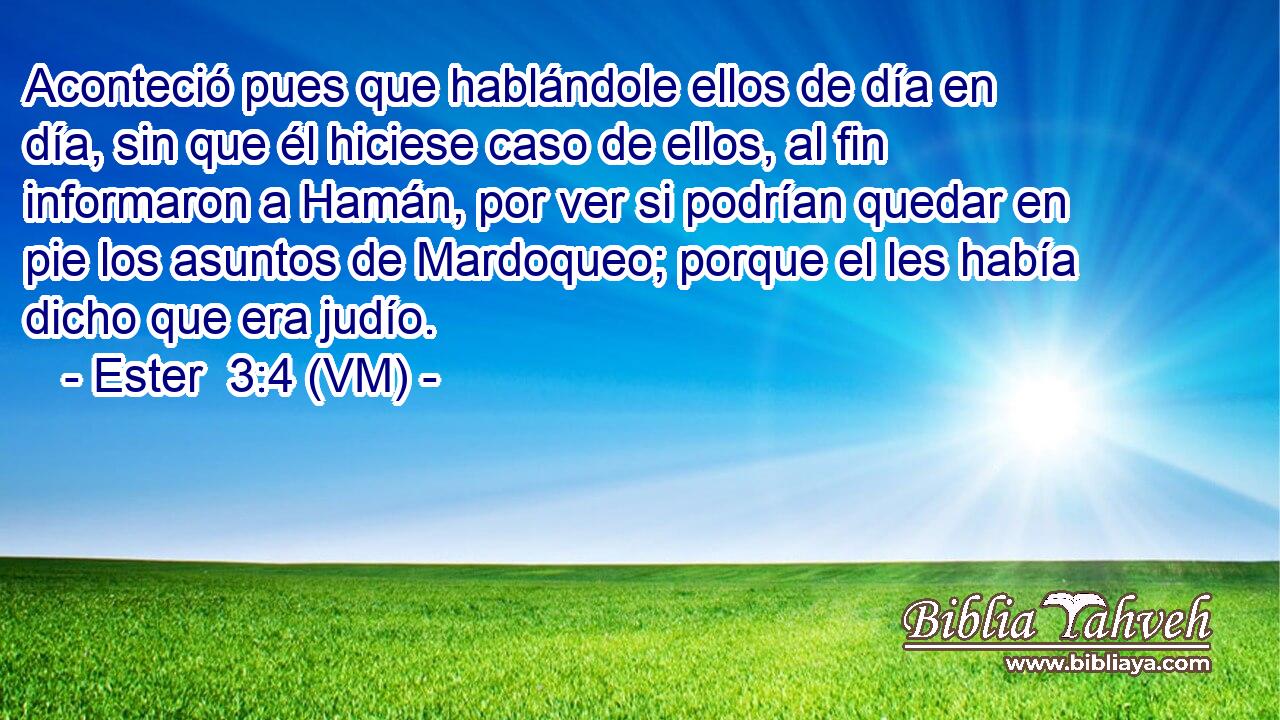  Aconteció pues que hablándole ellos de día en día, sin que él hiciese caso de ellos, al fin informaron a Hamán, por ver si podrían quedar en pie los asuntos de Mardoqueo; porque el les había dicho que era judío. 