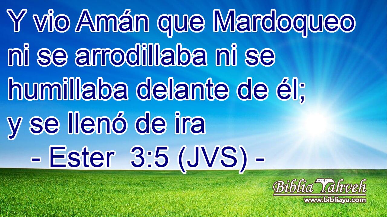 Y vio Amán que Mardoqueo ni se arrodillaba ni se humillaba delante de él; y se llenó de ira