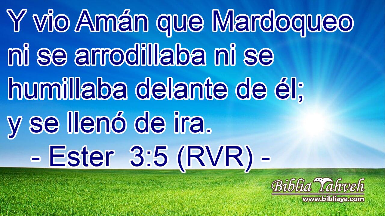 Y vio Amán que Mardoqueo ni se arrodillaba ni se humillaba delante de él; y se llenó de ira.