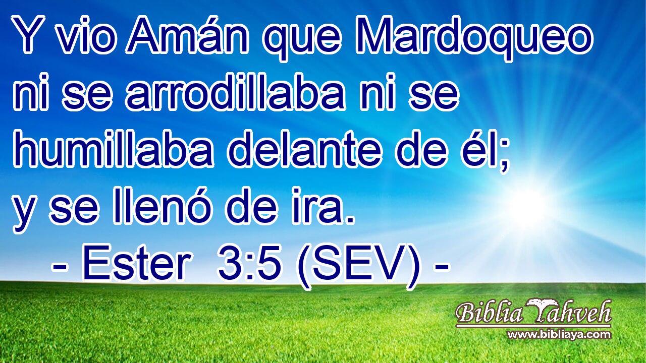 Y vio Amán que Mardoqueo ni se arrodillaba ni se humillaba delante de él; y se llenó de ira.