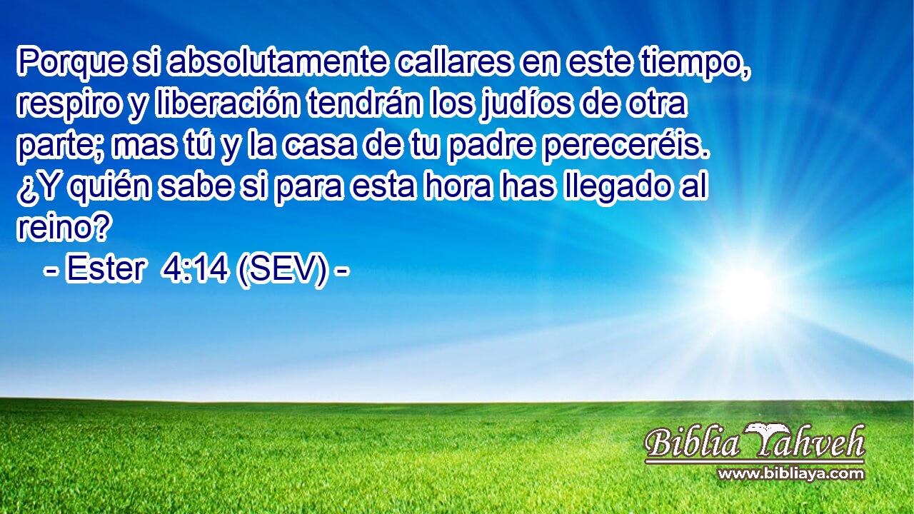Porque si absolutamente callares en este tiempo, respiro y liberación tendrán los judíos de otra parte; mas tú y la casa de tu padre pereceréis. ¿Y quién sabe si para esta hora has llegado al reino?