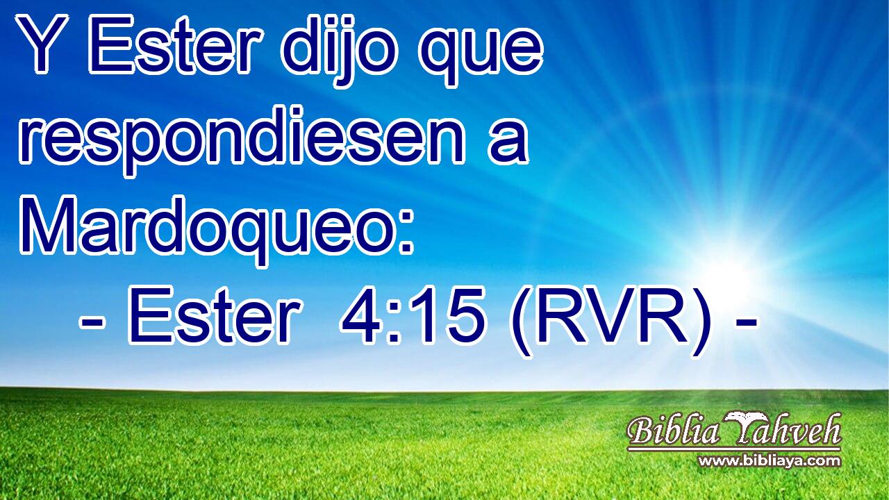 Y Ester dijo que respondiesen a Mardoqueo: