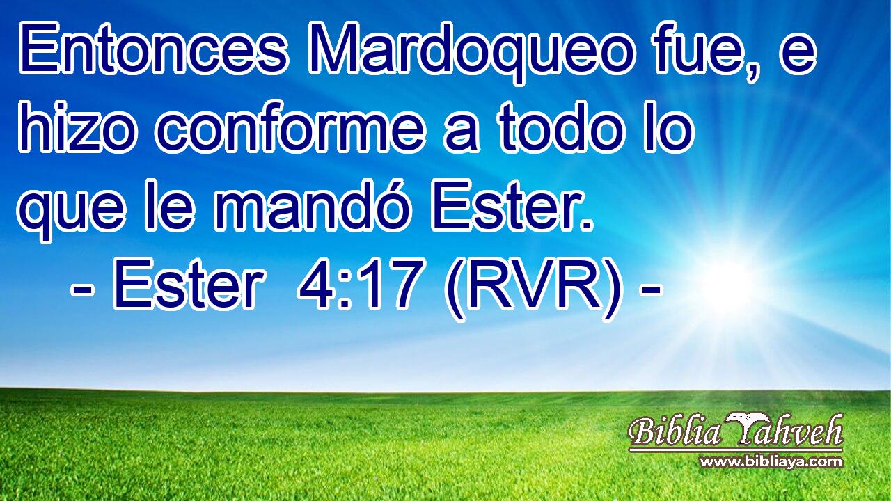 Entonces Mardoqueo fue, e hizo conforme a todo lo que le mandó Ester.